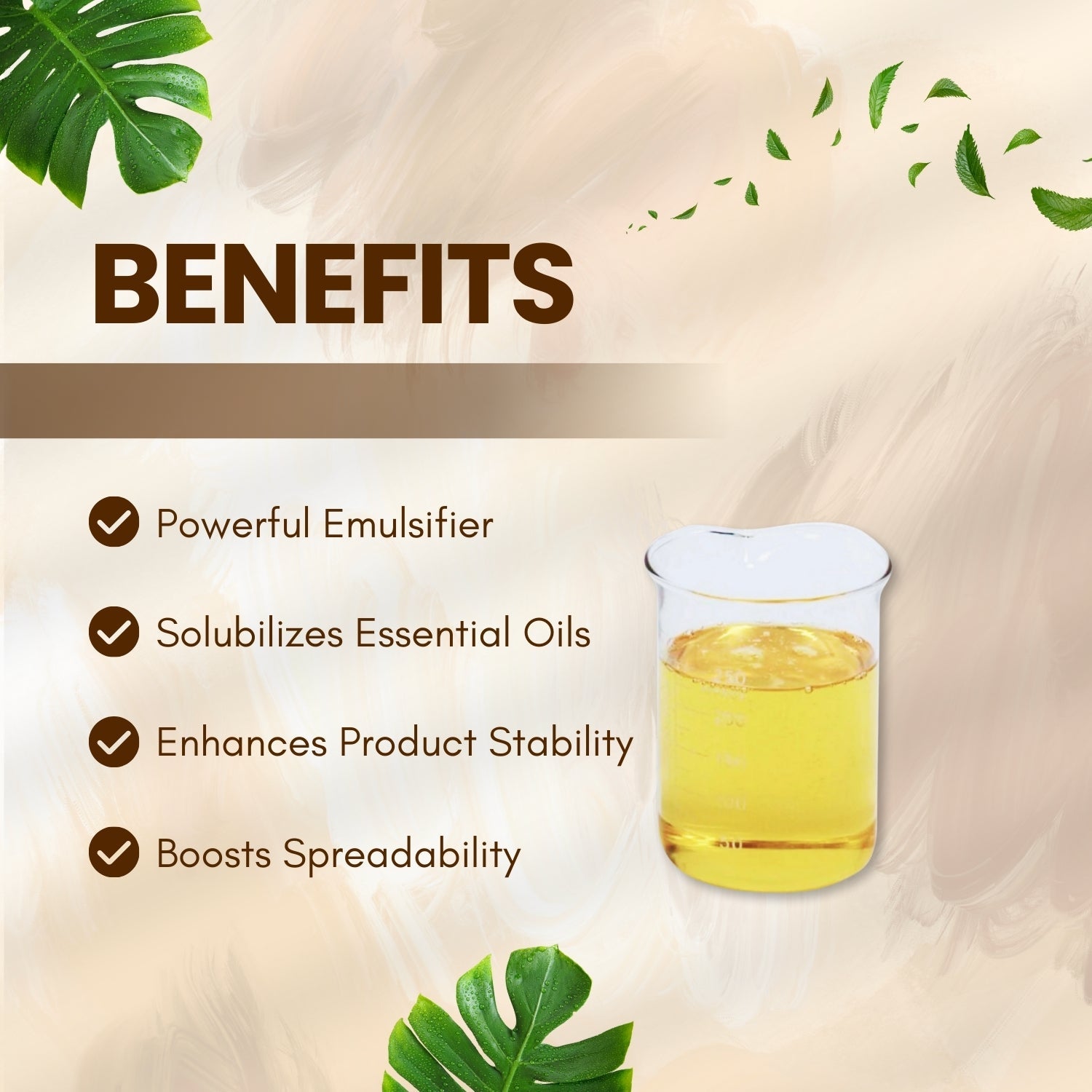 Polysorbate 80 Polysorbate 80